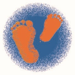 Logo Institut für Interdisziplinäre Frühförderung und Heilpädagogik